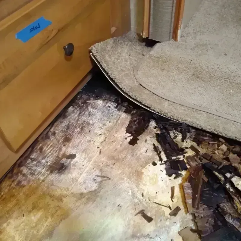 Wood Floor Water Damage in West Burlington, IA